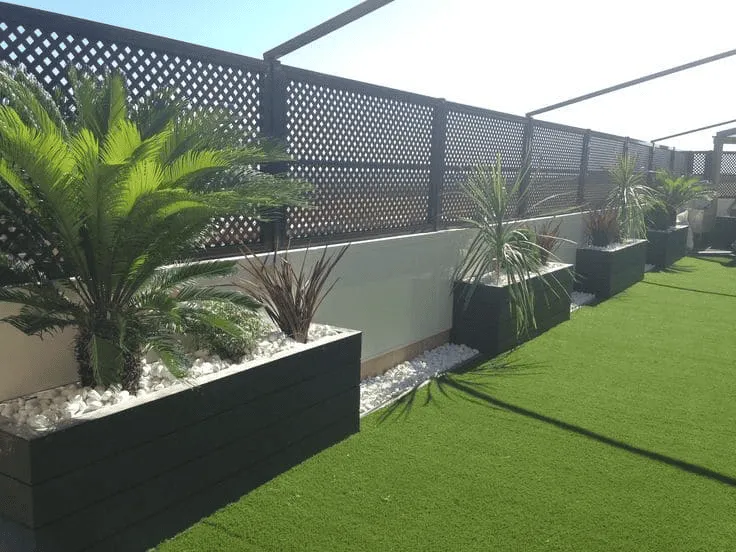 صورة المقال