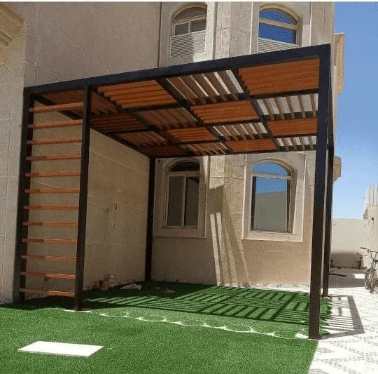 صورة إضافية